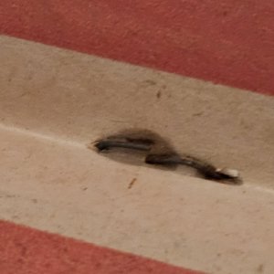 Forever People 3 Jack Kirby G-VG 1972 Glorious Godfrey