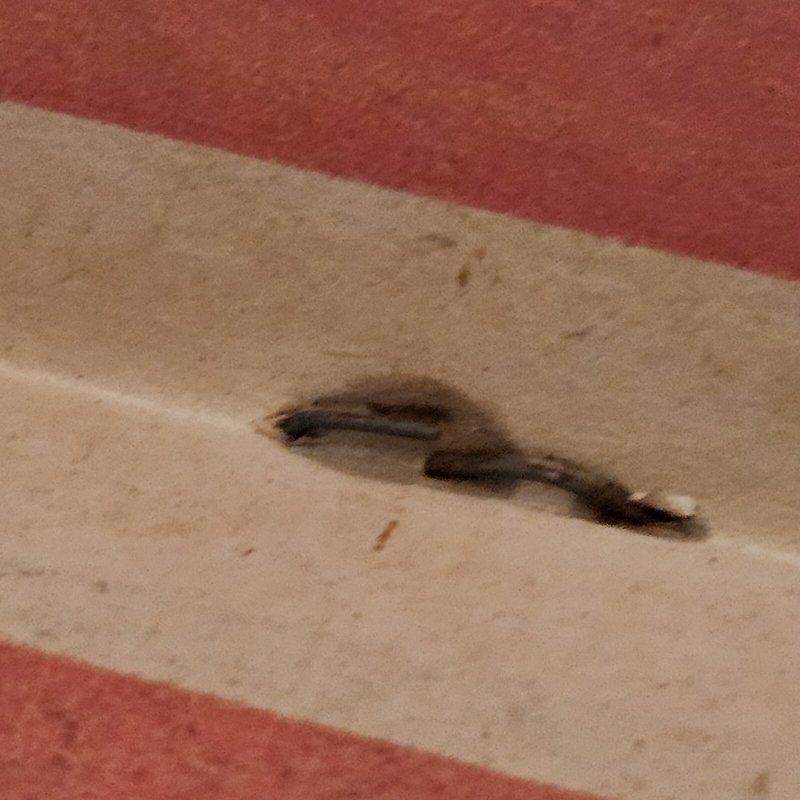 Forever People 3 Jack Kirby G-VG 1972 Glorious Godfrey