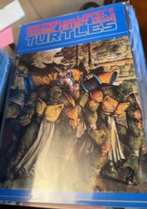 Teenage Mutant Ninja Turtles #35 (1991) Teenage Mutant Ninja Turtles 