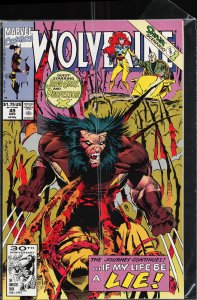 Wolverine #49 (1991) Wolverine