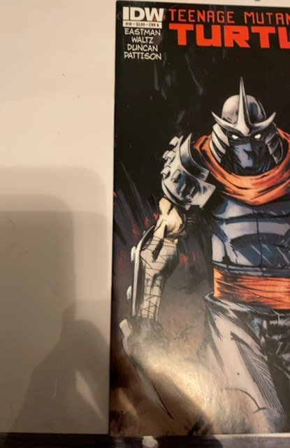 Teenage Mutant Ninja Turtles #10 Cover A - Dan Duncan (2012)