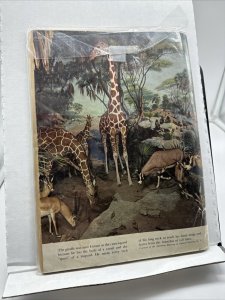 Tarzan's Jungle Annual #3 Dell Golden Age 1954 Comic Book