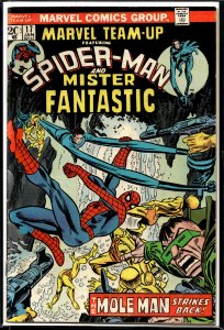 Marvel Team-Up #17 (1974) Mister Fantastic