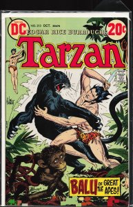 Edgar Rice Burroughs' Tarzan #213 (1972)