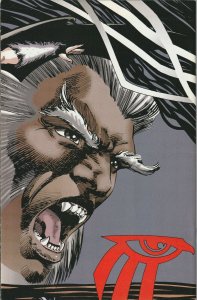 Shaman's Tears #2 (1993) Image Comics ~ Mike Grell  