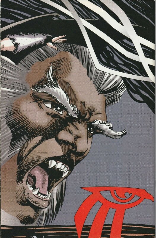 Shaman's Tears #2 (1993) Image Comics ~ Mike Grell  