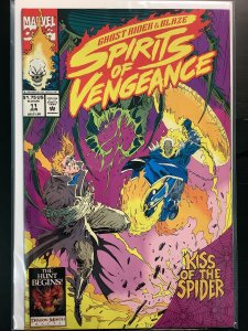 Ghost Rider/Blaze: Spirits of Vengeance #11 Direct Edition (1993)