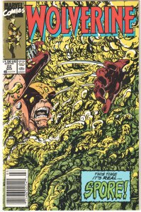Wolverine #22 (1990) Wolverine