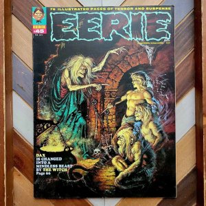 EERIE #45 VF (Warren 1973) Steve Skeates, Esteban Maroto, Luis Dominguez Cover!