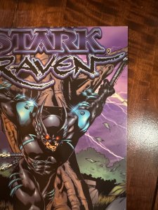 Stark Raven #1 (2000)