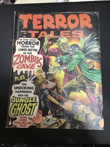 Terror Tales #301 (1971) Woman medical bondage cover! 1970s horror! VG/FN Wow!
