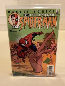 Peter Parker: Spider-Man #43  2002  9.0 (our highest grade)