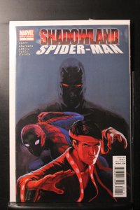 Shadowland: Spider-Man (2010)