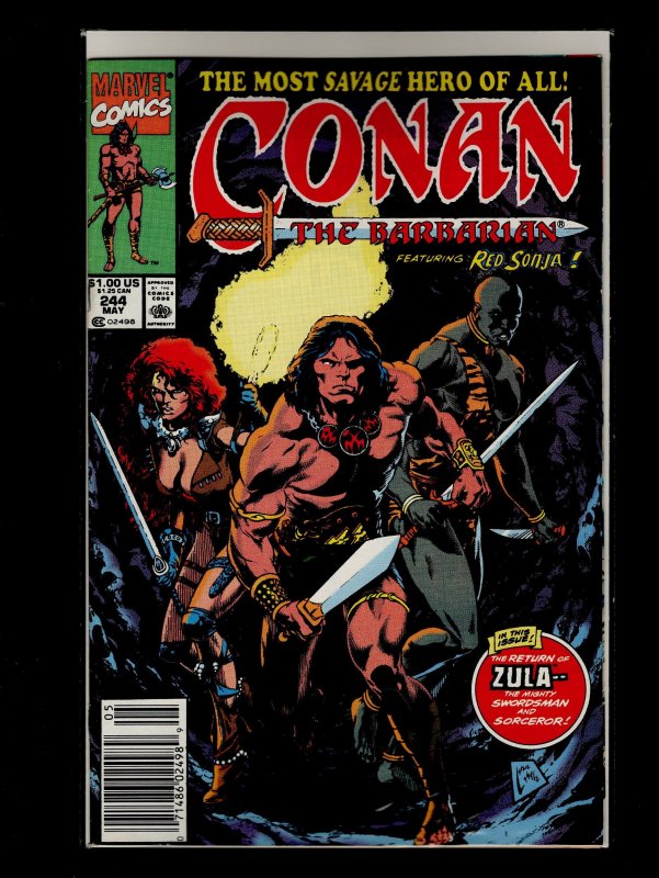 Conan the Barbarian #231,232,233,234,235,236,237,243,244,245 (1990)