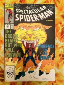 The Spectacular Spider-Man #171 Direct Edition (1990) - VF/NM