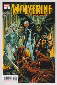 Wolverine #16 Panosian Variant (Marvel, 2026) NM