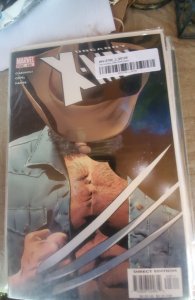 The Uncanny X-Men #448 (2004)