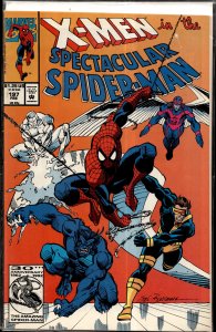 The Spectacular Spider-Man #197 (1993) Spider-Man