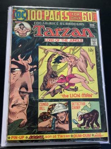Tarzan #234 (1975)