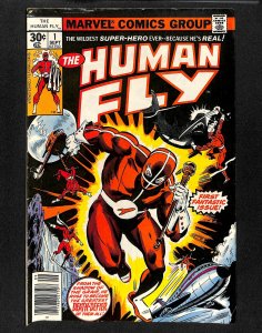 Human Fly #1