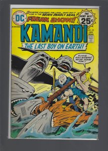 Kamandi, The Last Boy on Earth #25 (1975)