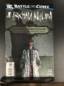 Batman: Battle for the Cowl: Arkham Asylum #1 (2009)