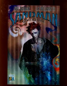 Sandman: Overture #1 - J.H. Williams The III/3D Cover! (9.0/9.2) 2013