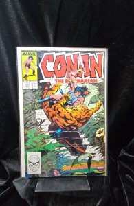 Conan the Barbarian #213 Direct Edition (1988) Conan 