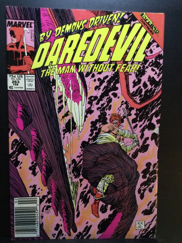 Daredevil #263 (1989)