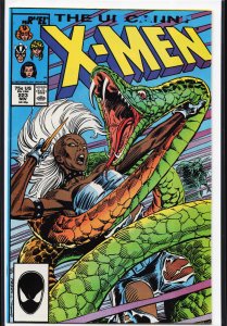 The Uncanny X-Men #223 (1987) X-Men