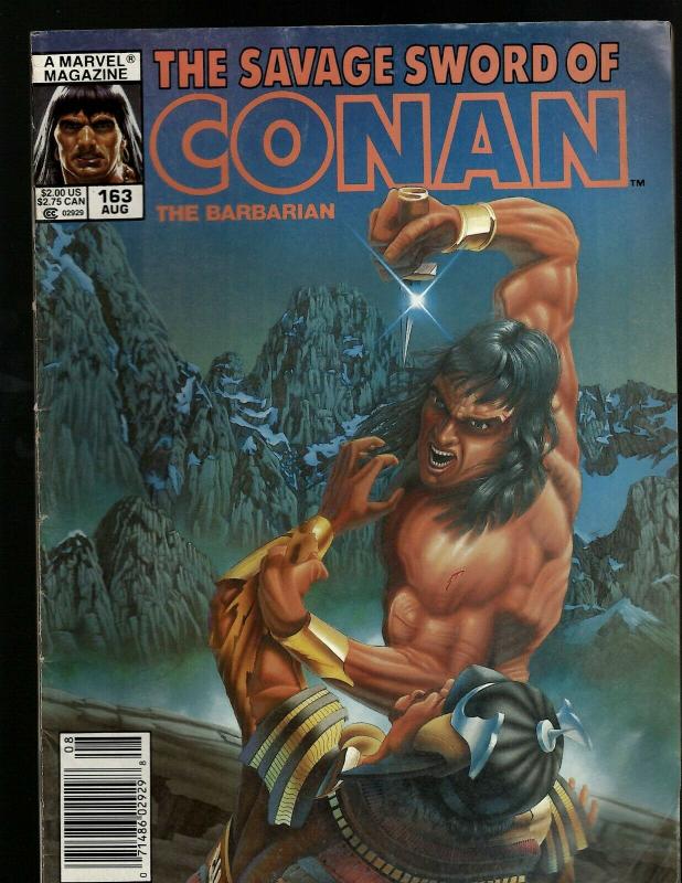 10 Savage Sword Of Conan Comics # 222 196 195 189 165 163 163 151 143 140 J394