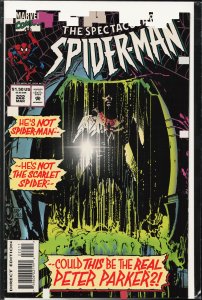 The Spectacular Spider-Man #222 (1995) Spider-Man [Key Issue]