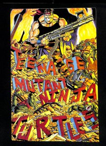 Teenage Mutant Ninja Turtles #34