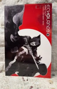 Echolands #1 Raw Cut Variant Cover (2021)