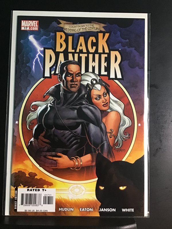 Black Panther #17 (2006)