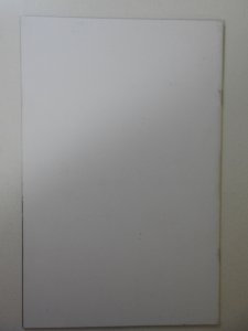 Zombie Tramp #13 Variant NM Condition!