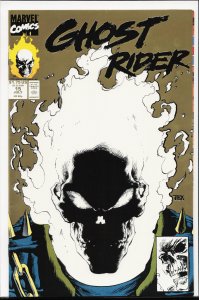 Ghost Rider #15 Second Print Cover (1991) Ghost Rider