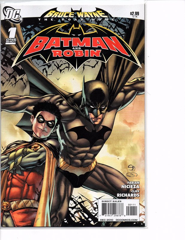 DC Comics Bruce Wayne: The Road Home Batman and Robin One Shot (2010)