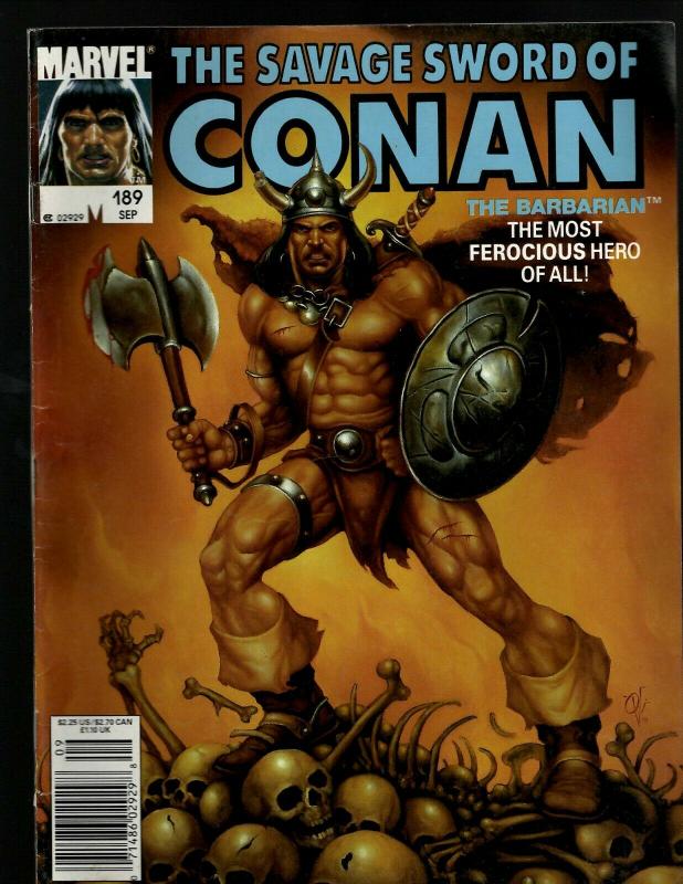 10 Savage Sword Of Conan Comics # 222 196 195 189 165 163 163 151 143 140 J394