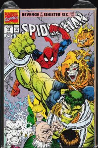 Spider-Man #19 (1992) Spider-Man