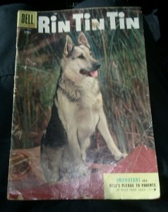 Rin Tin Tin # 10 GD/VG Dell Golden Age Comic Book Photo Cover Dog 1955 precode