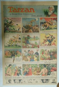 Tarzan Sunday Page #457 Burne Hogarth from 12/10/1939 Very Rare Full Page Size