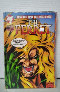 The Ferret #10 (1994). H45