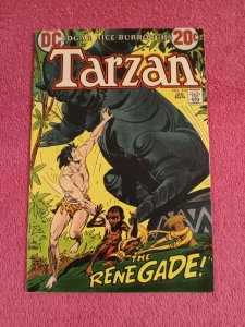 Edgar Rice Burroughs' Tarzan #216 DC Comics (1973)