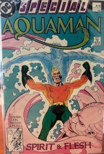 Aquaman Special (1988)