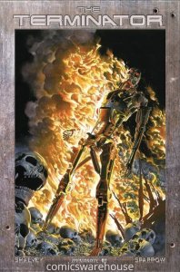 TERMINATOR (2024 DYNAMITE) #1 VARIANT 1:20 CVR P ROSS BURNING EARTH ICON R40523