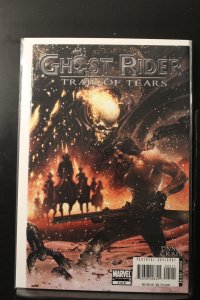 Ghost Rider: Trail of Tears #5 (2007)