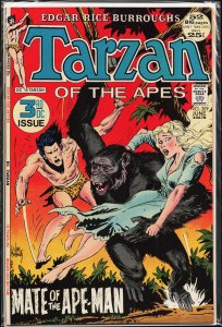 Edgar Rice Burroughs' Tarzan #209 (1972)