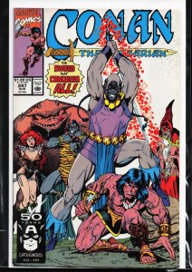 Conan the Barbarian #247 (1991) Conan