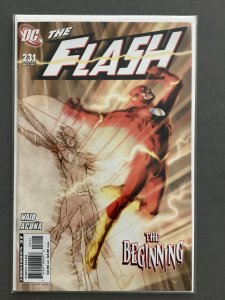 The Flash #231 Variant Cover (2007)